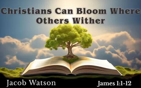 James 1:1-12 - Christians Can Bloom Where Others Wither