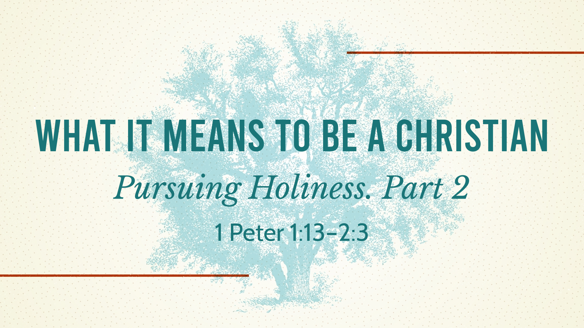 Pursuing Holiness. Part 2