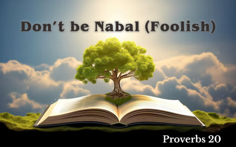 Proverbs 20 - Don't be Nabal (Foolish)