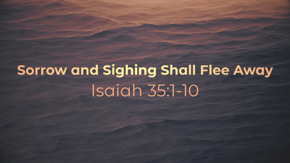 Sorrow and Sighing Shall Flee Away