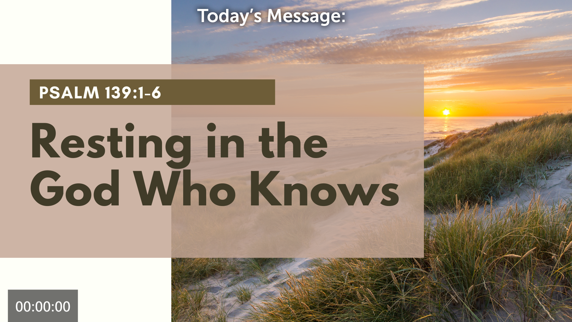 Freeort Sunday, 11/16/2025