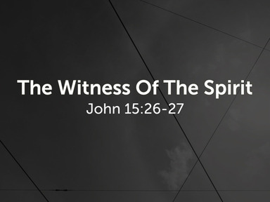 11/23/2025-The Witness Of The Spirit-David Kanski