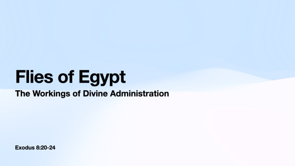 2025 November 23 Sunday AM (This one)