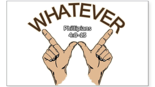 Freeort Sunday, 11/23/2025