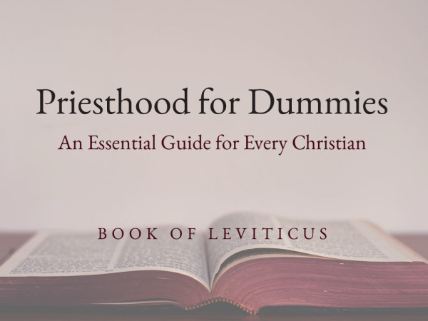 Priesthood for Dummies