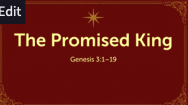 The Promised King