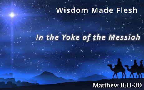 Matthew 11:11-30 - Wisdom Made Flesh: In the Yoke of the Messiah