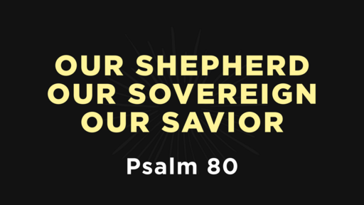 Psalm 80 - Our Shepherd, Our Sovereign, Our Savior