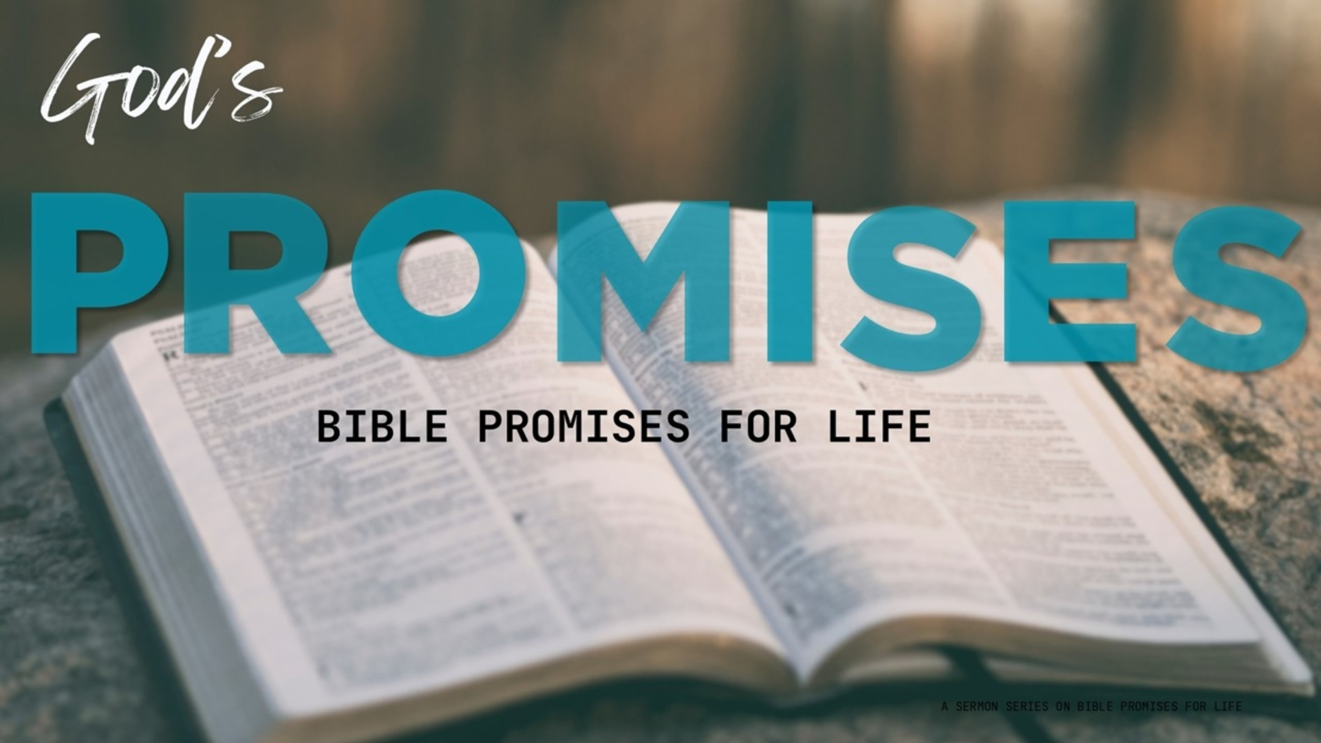 Sunday December 7, 2025