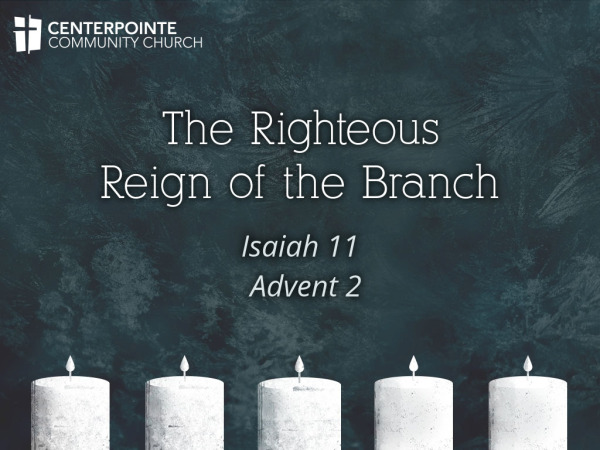 The Righteous Reign of the Branch