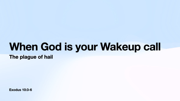 2025December 7 Sunday AM (This one)