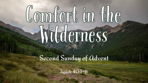 Comfort In the Wilderness - Second Sunday of Advent