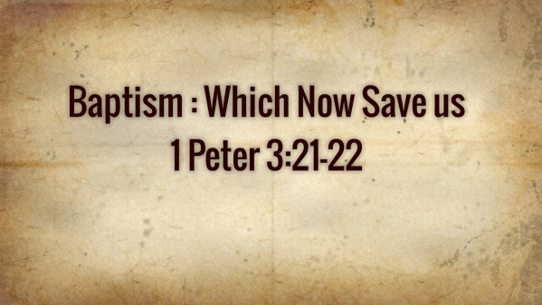 2025 Sunday December 7 PM Services