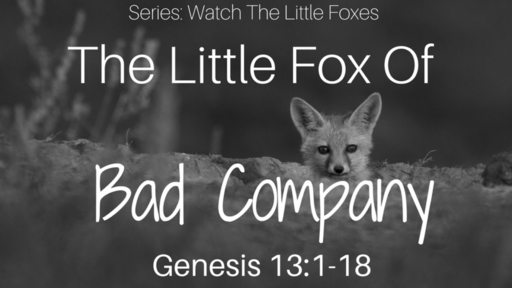 The little fox of Bad Company 