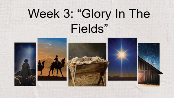 Week 3: “Glory In The Fields”
