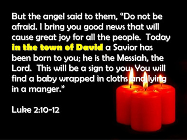 In The City of David