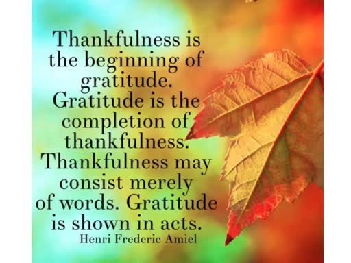 11.19.17 -- Gratitude