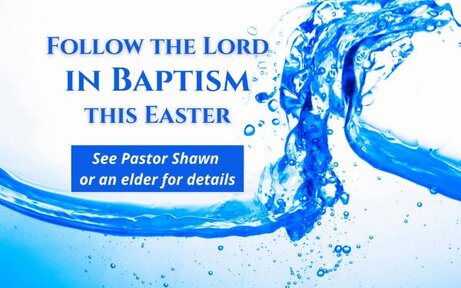 Proverbs 28 - Grapes of Wisdom Fit for a King