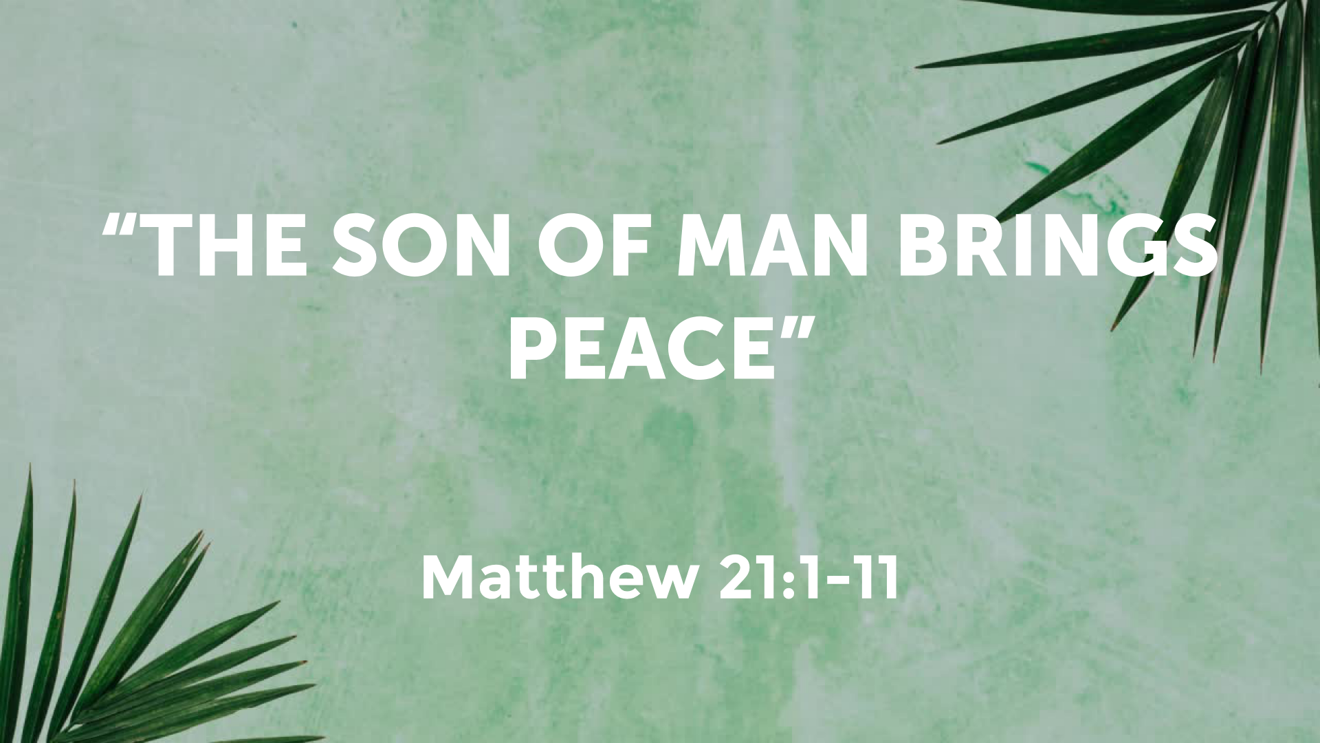 The Son of Man Brings Peace