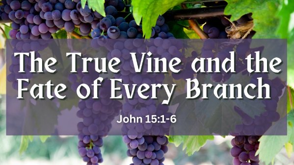 The True Vine and the Fate of Every Branch