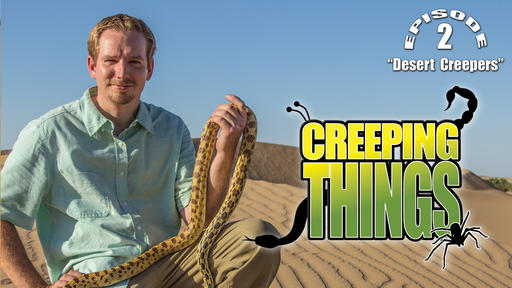 Desert Creepers