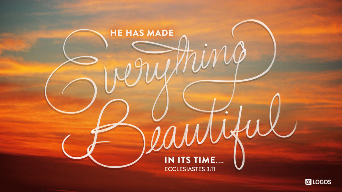 Verse art for Ecclesiastes 3:11