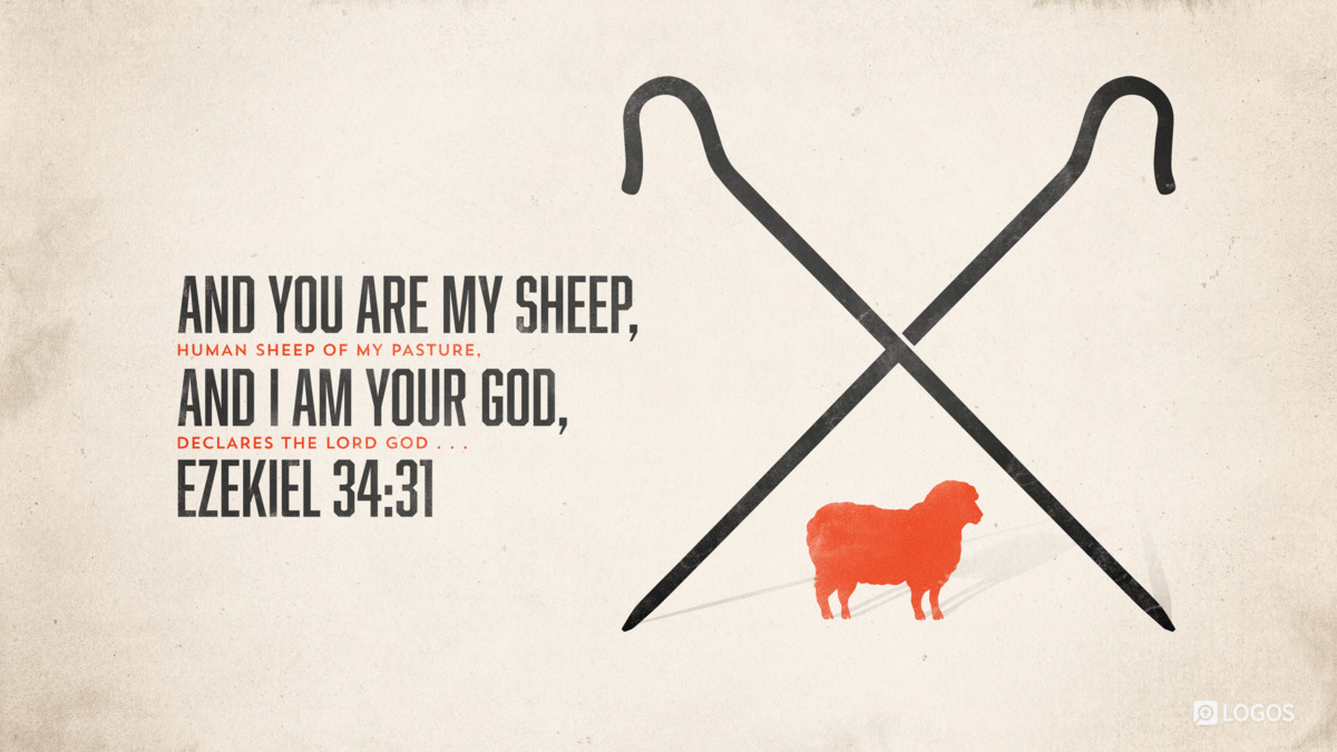 Verse art for Ezekiel 34:31