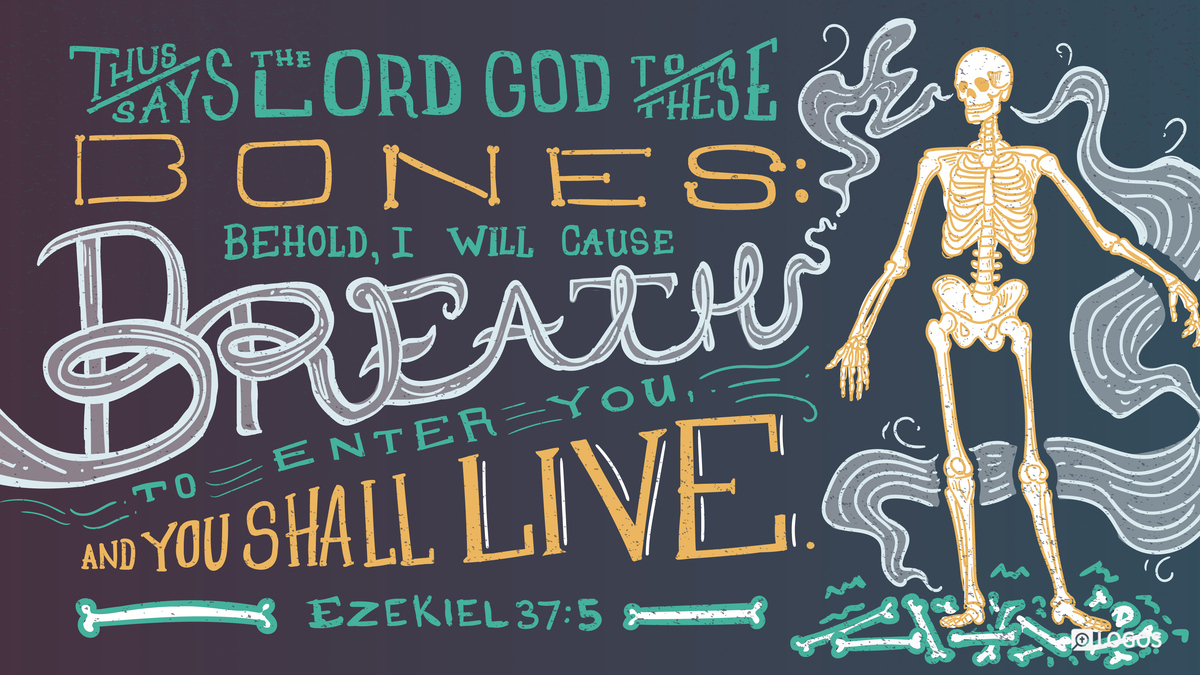 Verse art for Ezekiel 37:5