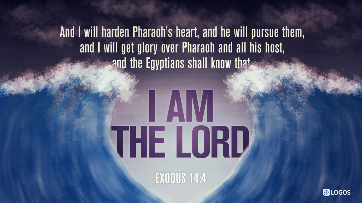 Verse art for Exodus 14:4