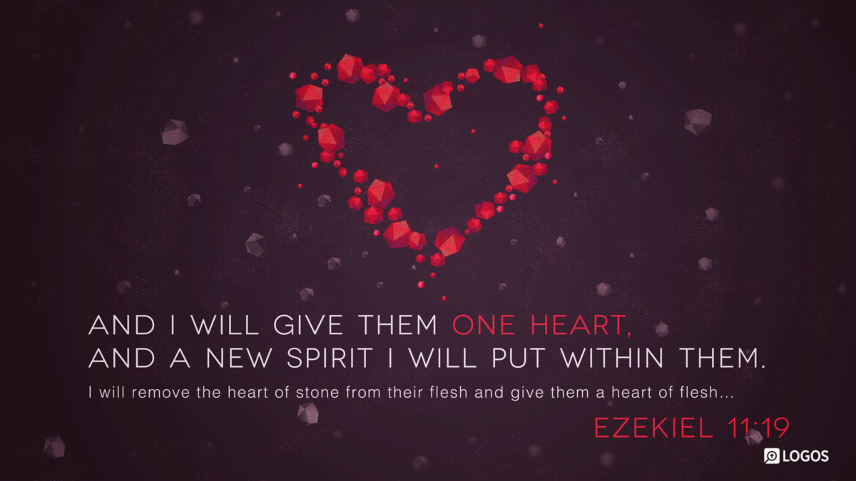 Verse art for Ezekiel 11:19