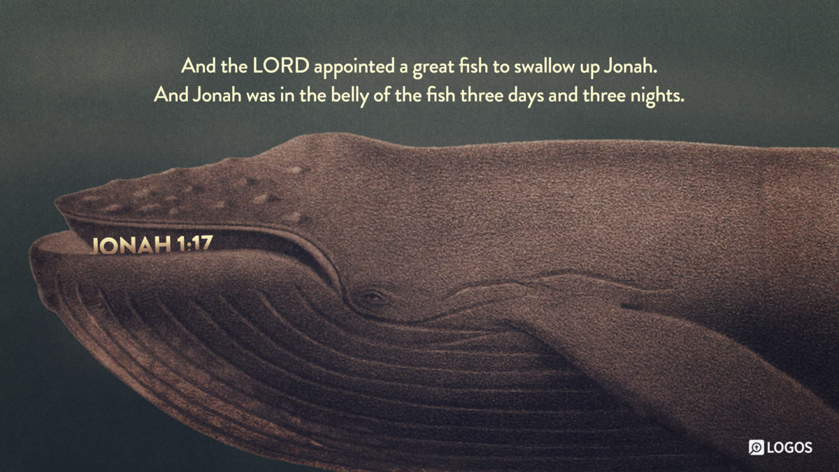Verse art for Jonah 1:17
