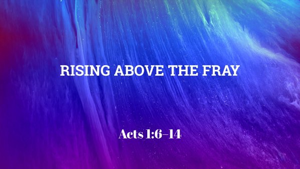 Rising Above the Fray