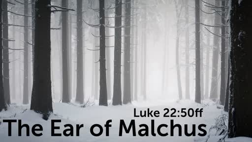 The Ear of Malchus