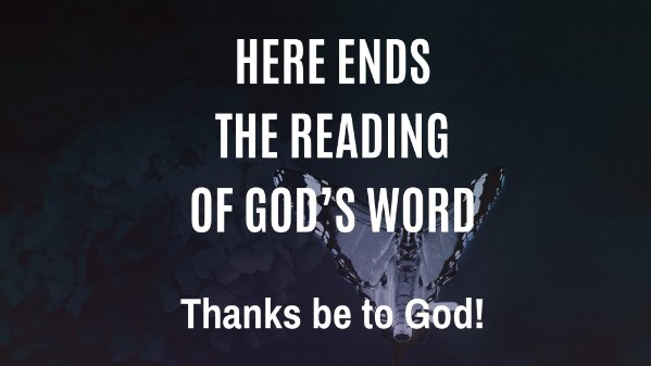 06/21/26, Matthew 10:5a, 21-33, Peter Gammell