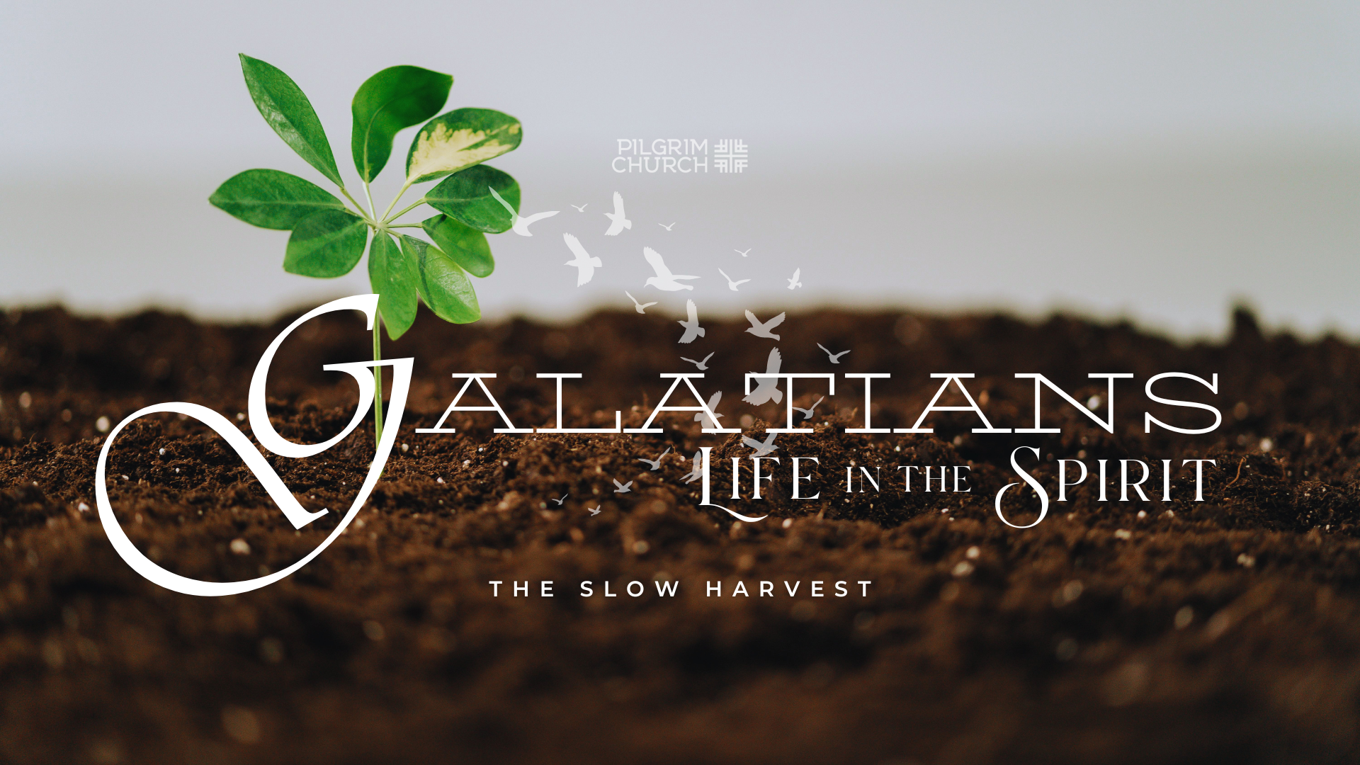 June 28, 2026 - Galatians: Life in the Spirit 08 - The Slow Harvest - Josh Liem