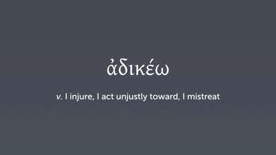 Vocabulary 12