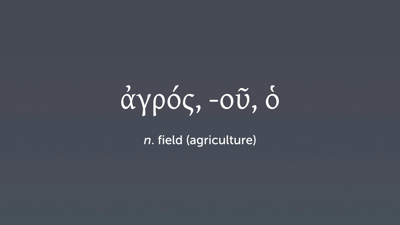 Vocabulary 10