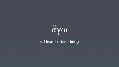 Vocabulary 8