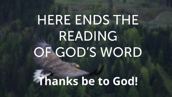 08/30/26, Matthew 16:21–28, Peter Gammell