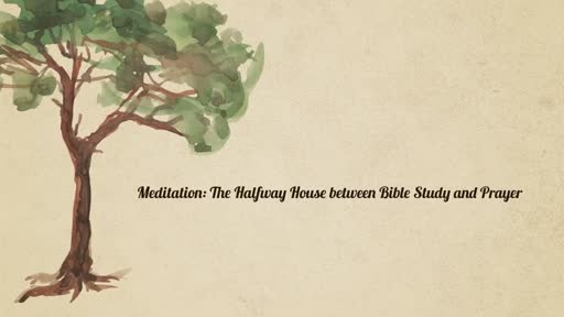 Meditation: The Halfway House between Bible Study and Prayer