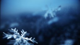 Blue Winter Snow  PowerPoint Photoshop image 3