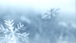 Winter Snow  PowerPoint Photoshop image 2