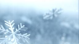 Winter Snow  PowerPoint Photoshop image 3