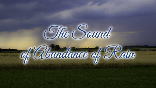 The Sound of Abundance of Rain