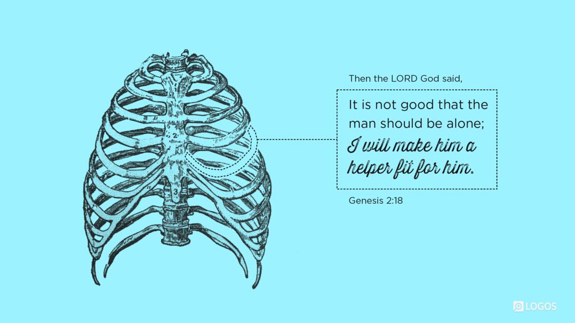 Genesis 2:18: Then the LORD God said, “It is not good that the man should be alone; I will make him a helper fit for him.”