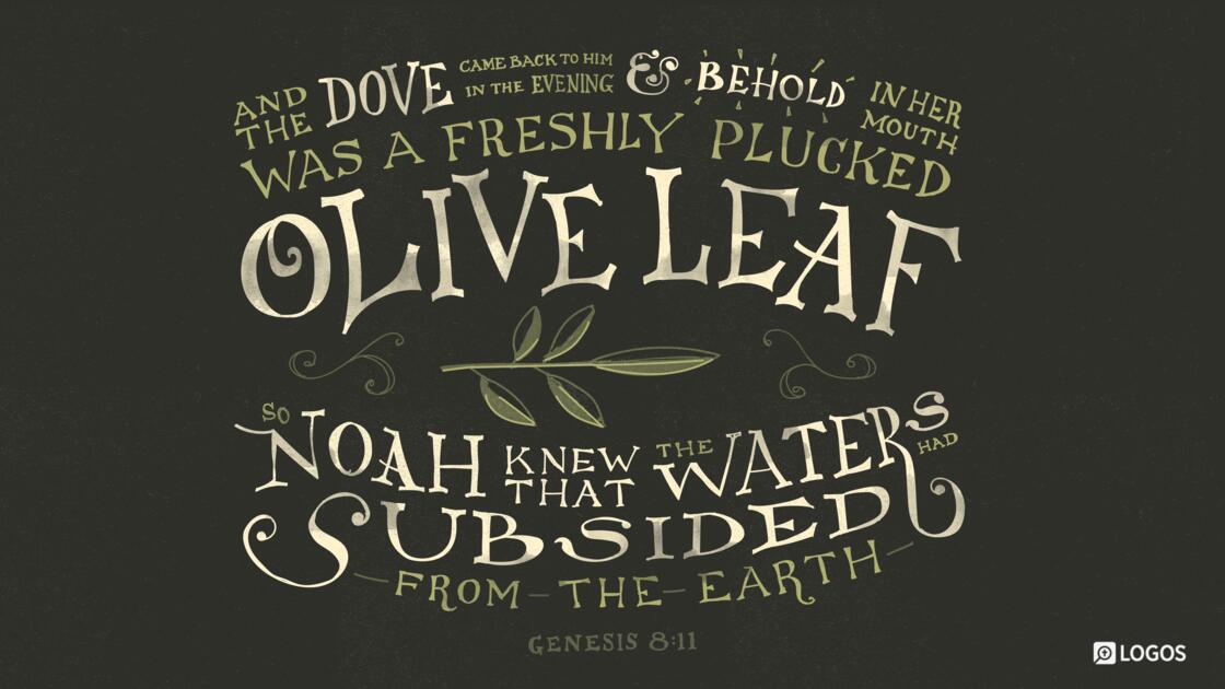 Genesis 8:11: And the dove came back to him in the evening, and behold, in her mouth was a freshly plucked olive leaf. So Noah knew that the waters had subsided from the earth.
