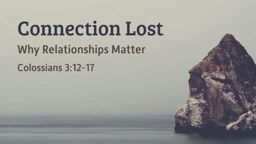 Connection Lost - Why Relationships Matter