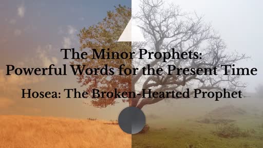 The Minor Prophets: Powerful Words for the Present Time