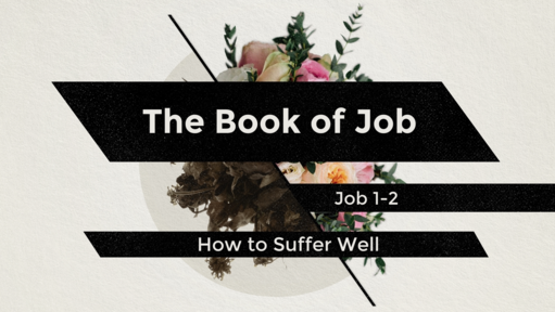 Job and the Problem of Evil