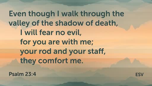 CHARLES MC CORMACK MEMORIAL 2 17 18